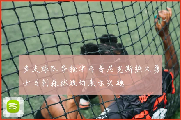 多支球队争抢字母哥尼克斯热火勇士马刺森林狼均表示兴趣