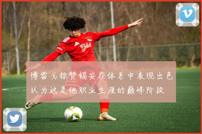 博雷戈称赞锡安在体系中表现出色认为这是他职业生涯的巅峰阶段