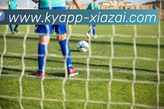 开云体育APP 封面图